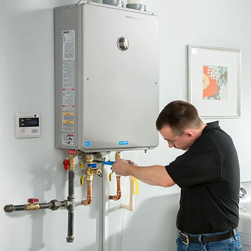 tankless water heater repair in Douglas, MI